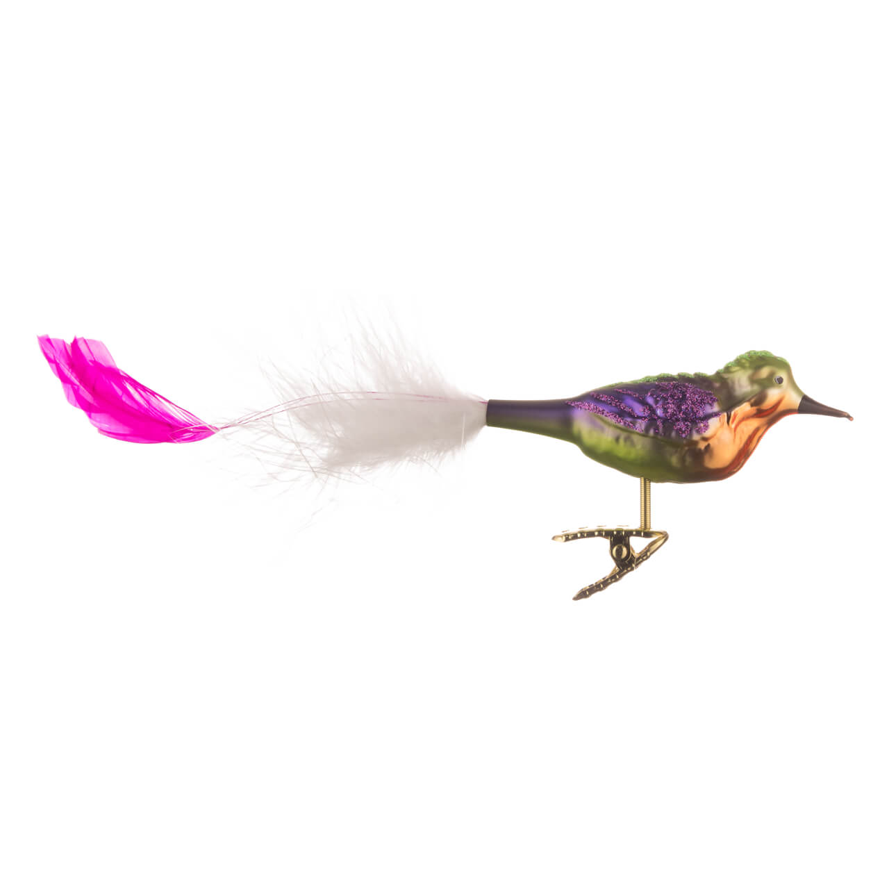 Uccello del paradiso colorato