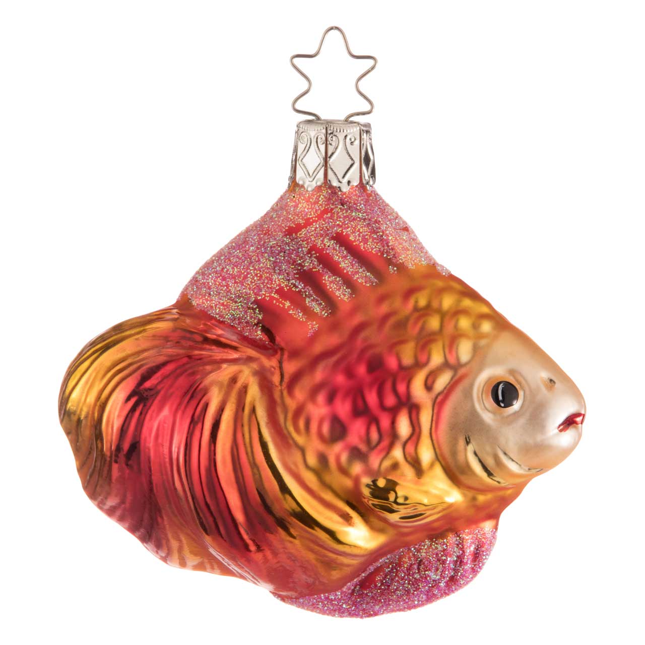 Pesce ornamentale rosso e oro Pesce ornamentale rosso e oro