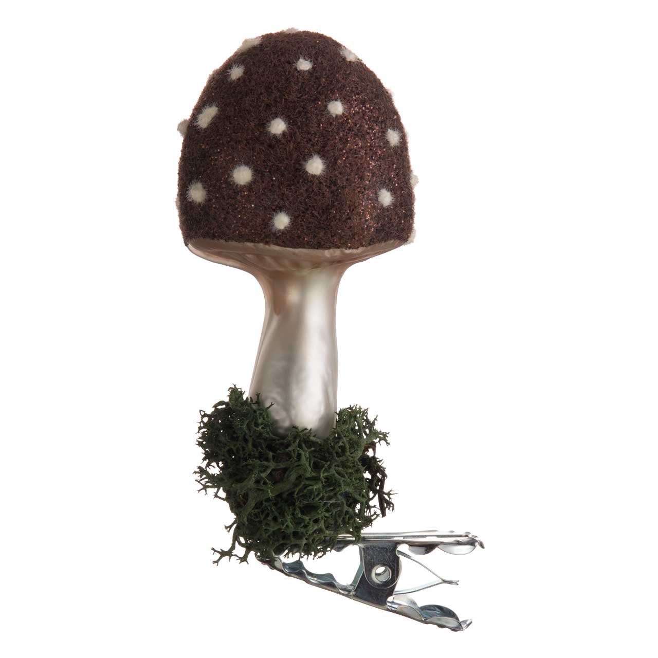 agarico muscario marrone