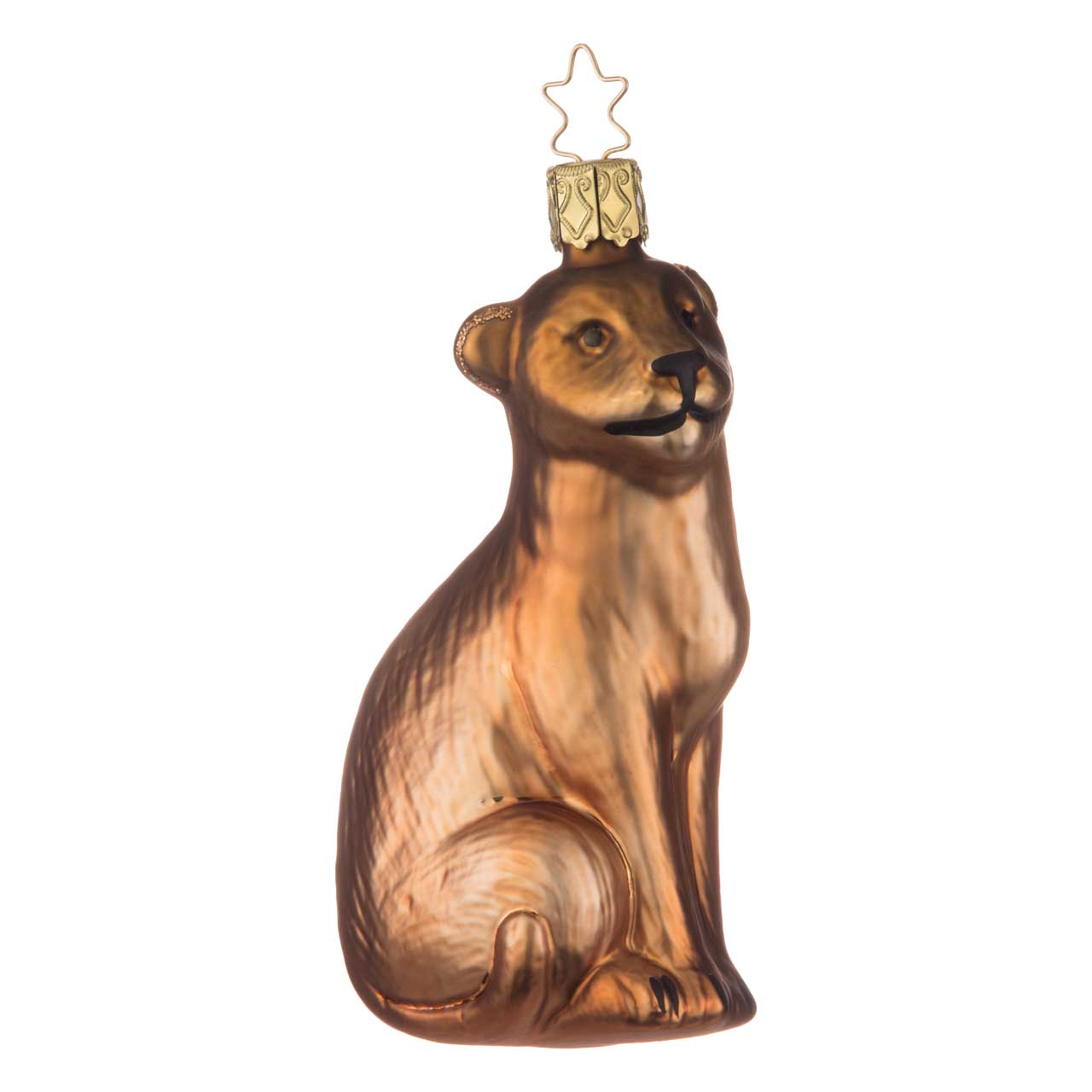 Leonessa