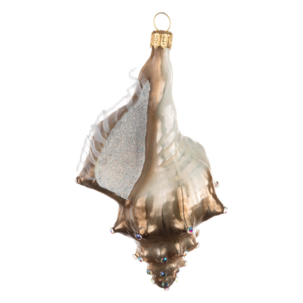 28-4729-6-Fluegelschnecke-1 Lumaca alata