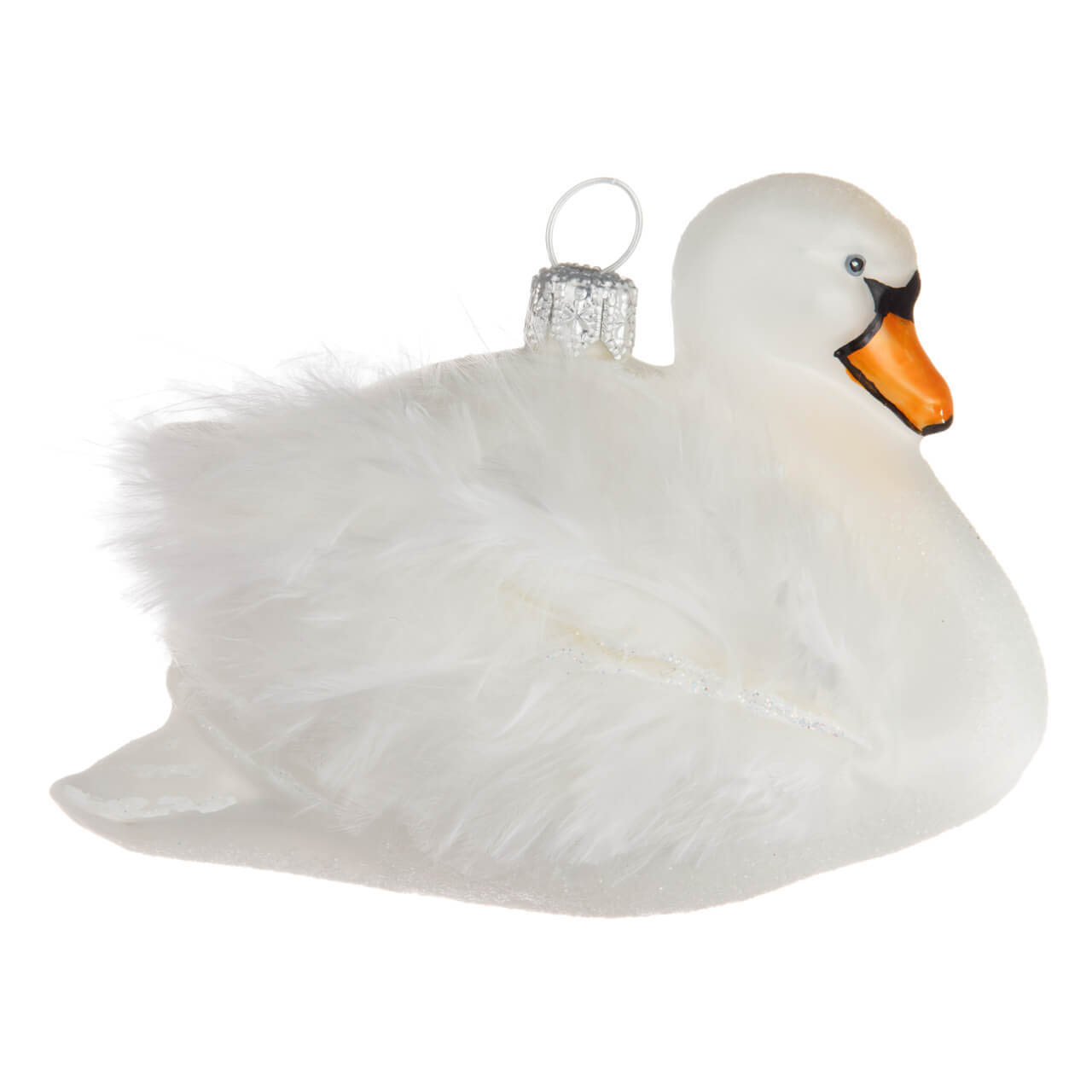 14-7289-2-Schwan-1 Cigno muto