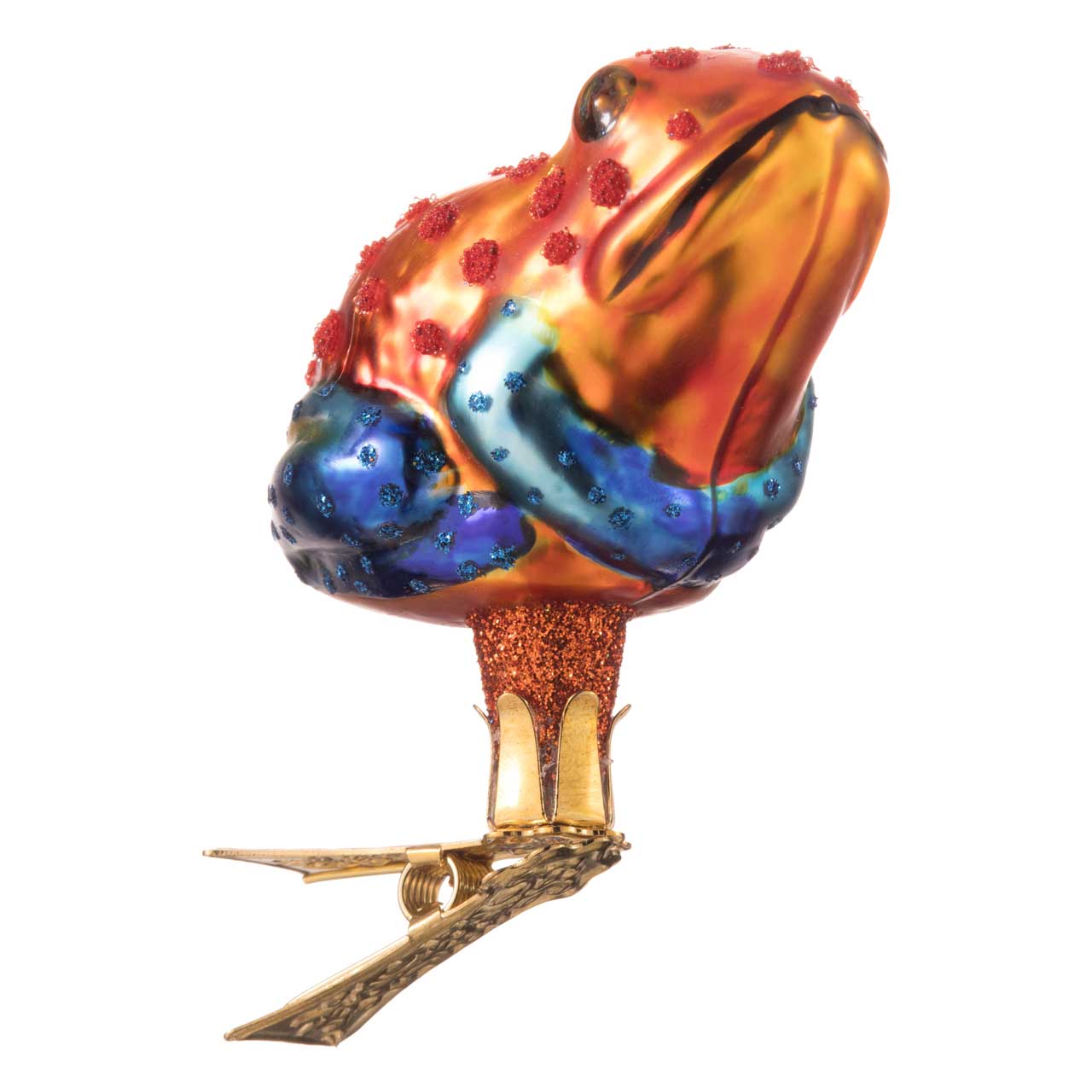 Rana dal dardo avvelenato Rana dal dardo avvelenato