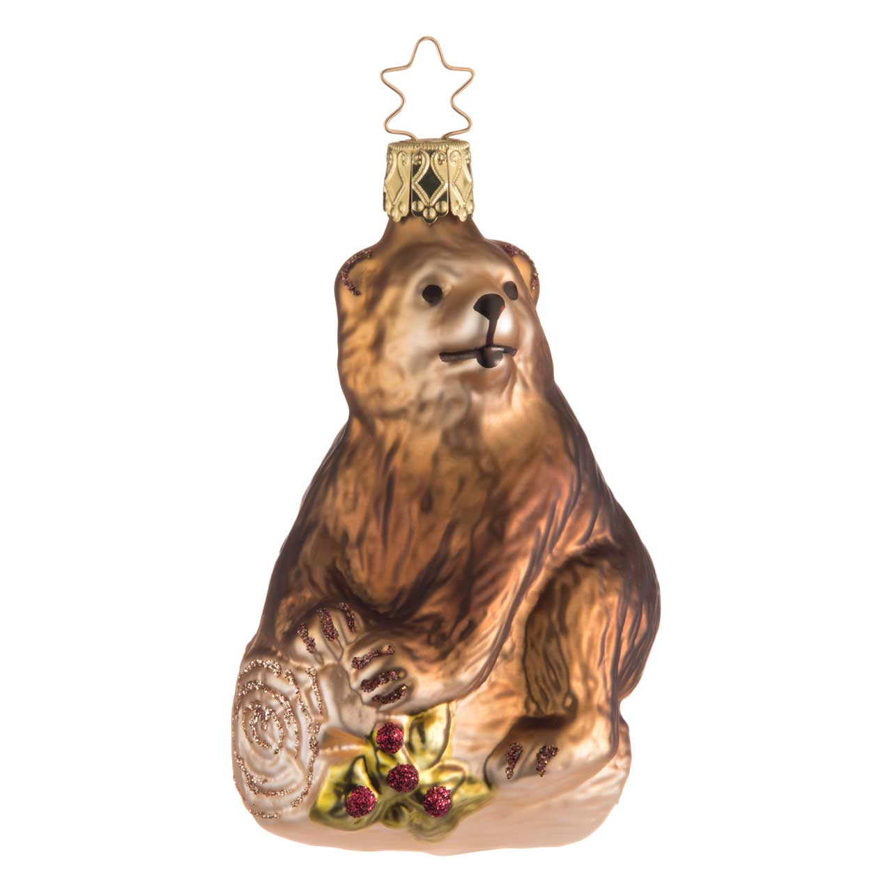 Orso Orso