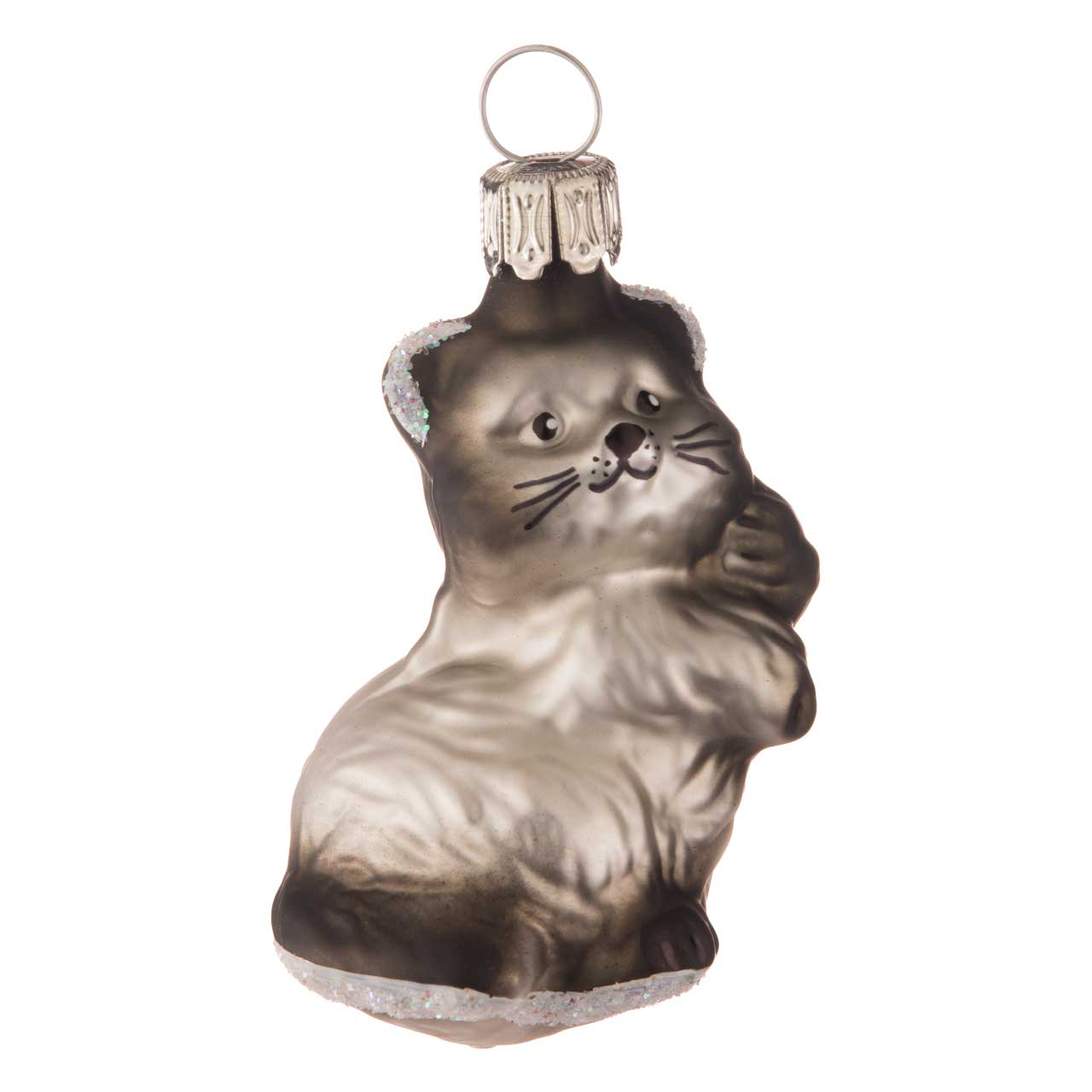 Gatto bambino