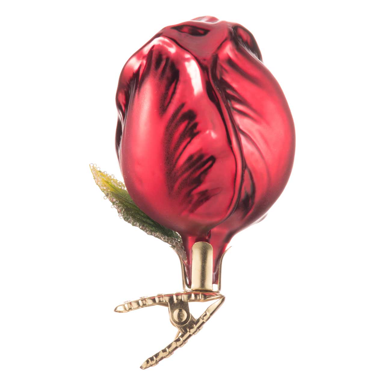 Tulipano Tulipano