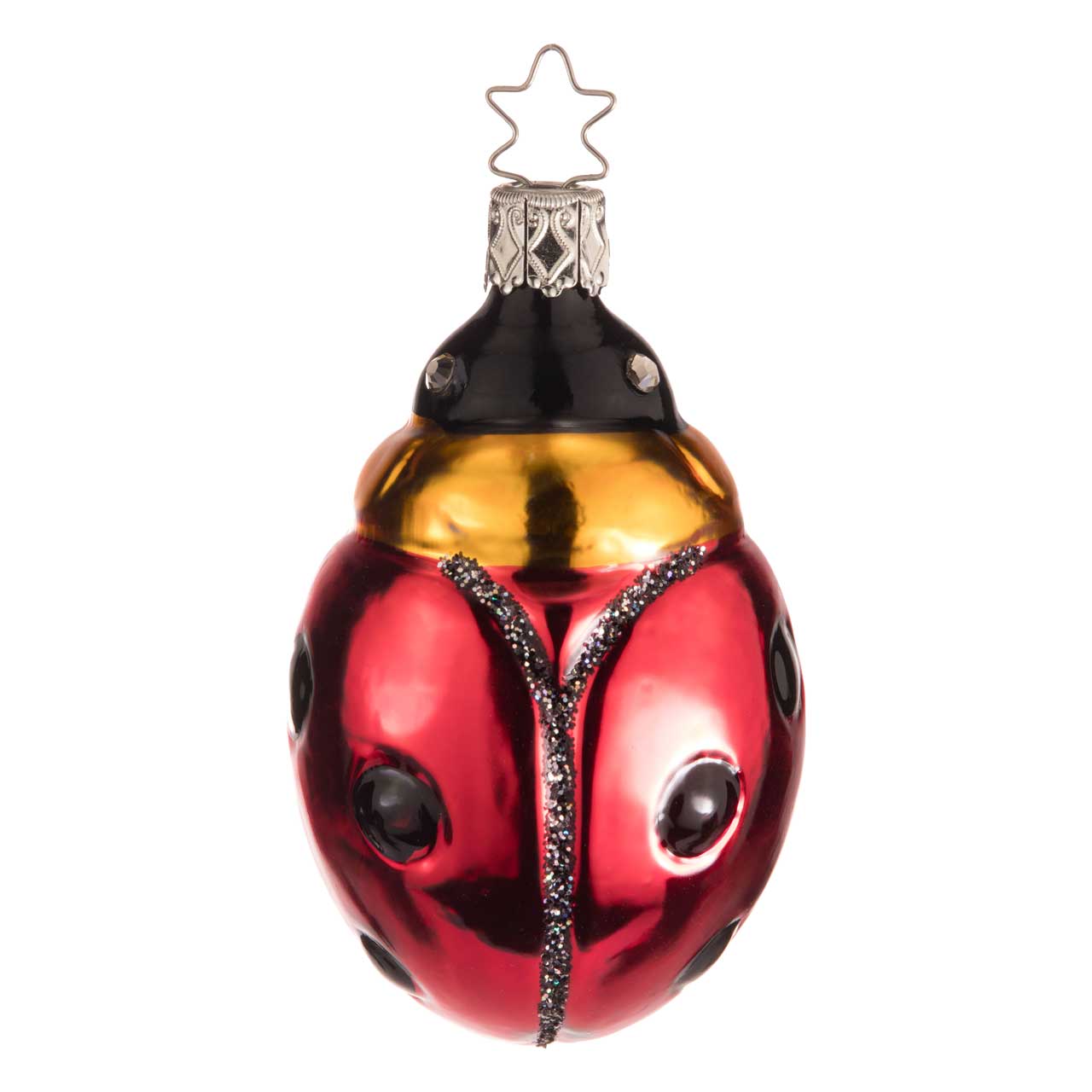 Coccinella Coccinella
