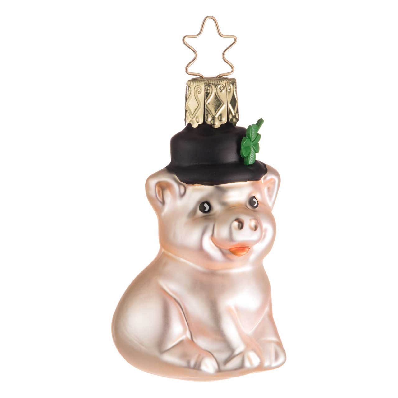 Porcellino fortunato Porcellino fortunato