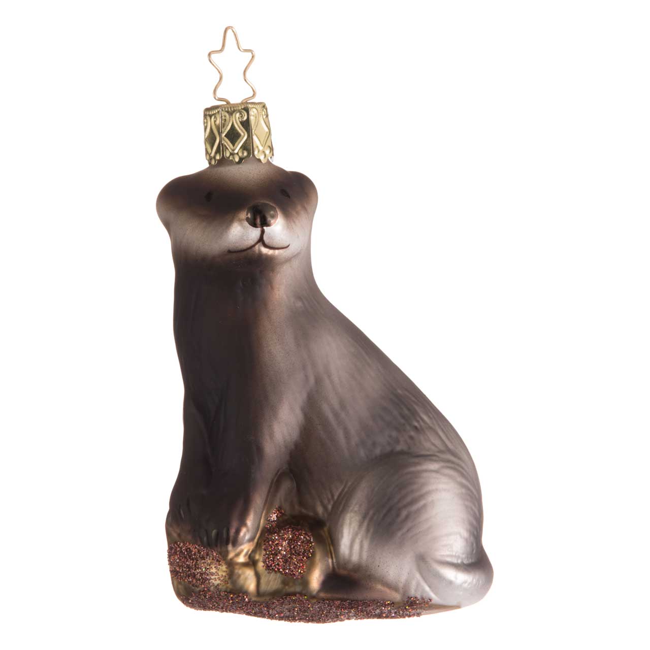 Tasso Tasso