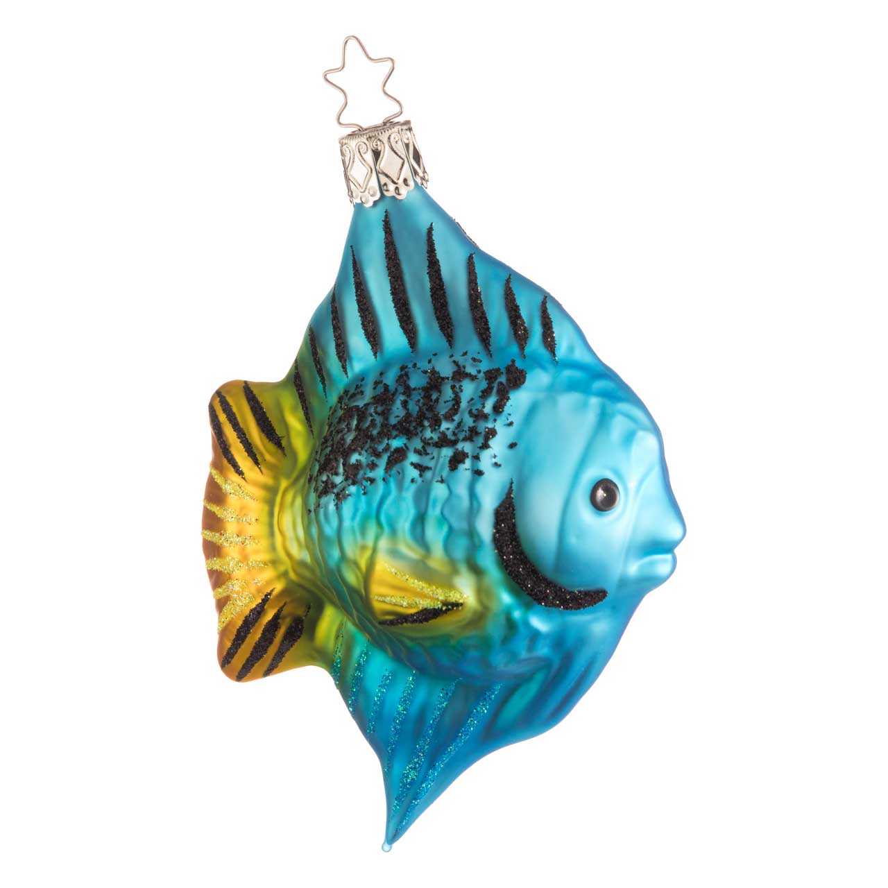 Pesce chirurgo Pesce chirurgo